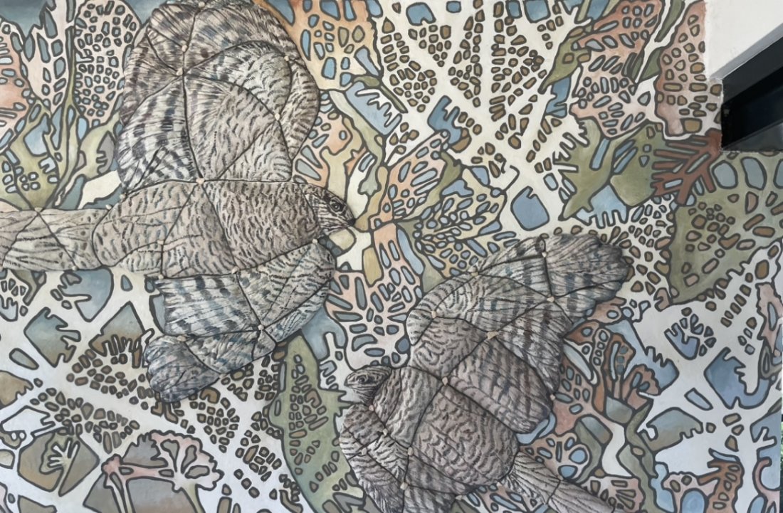 Sperwerlaan ingang gebouw